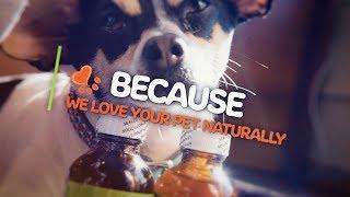 NHV Natural Pet Products: We love your pets!