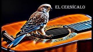 El cernícalo (spanish classical guitar)