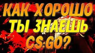 Ты не сможешь пройти этот тест по CS:GO! Как хорошо ты знаешь кс го . Тест по cs go. Жми!