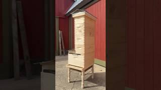 Building a new roof for The Keeper’s Hive  #beekeeping #beekeeper #bees #beehive #keepershive