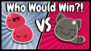 Pink Slime vs Tabby Slime: Slime Rancher Face-Off