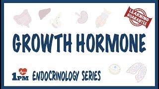 Growth Hormone