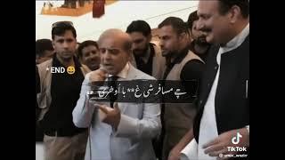 Shahbaz sharif new song / pashto funny / Shahbaz tappy