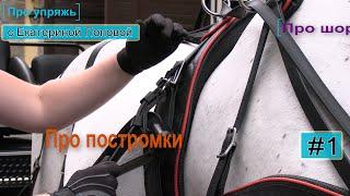 #1. Евро упряжь: на что обратить внимание при выборе для спортивного конного драйвинга