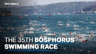 The most popular open water race in the world