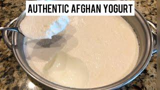 HOMEMADE THICK AFGHAN YOGURT (MASTAY) // RECIPE + HOW-TO