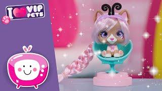 What a MESS  VIP PETS  Fabio & Fabia's Hair Salon  Videos for KIDS in English