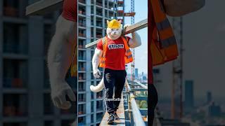 Watch as a cat falls off a building and his cute daughter does the impossible to save him.