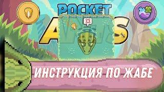 Pocket Ants | Как пройти ЯДОВИДУЮ ЖАБУ