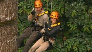 Will and Kate harness up and take to the trees in Borneo