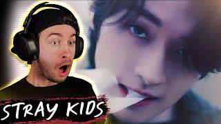 NEW STAY REACTS TO STRAY KIDS - "DLC" M/V for the FIRST TIME!