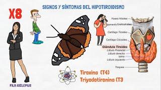 ENFERMEDAD DE TIROIDES | SIGNOS Y SÍNTOMAS QUE PODRÍAN INDICARTE QUE TIENES HIPOTIROIDISMO