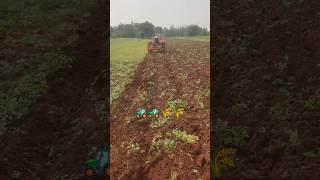 #605 #automobile #415 #555tv #agriculture #arjuntractors #575xp #475 #655 #755 #585 #595 #295 #275