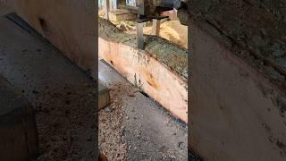 Rules for cutting trees perfectly #shorts  #woodskills #woodworking #wood