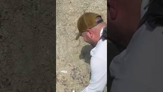 Called me friend over to check out my find! First big dinosaur tooth fossil. Tyrannosaur!