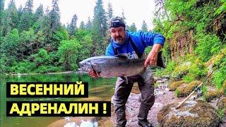 КОРОЛИ ЗАШЛИ В РЕКИ !!! ЧАВЫЧА - КОРОЛЕВСКИЙ ЛОСОСЬ. ОТКРЫТИЕ СЕЗОНА. РЫБАЛКА В США