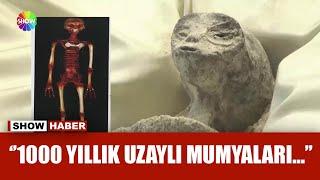 ''Bu fosiller, uzaylılara mı ait?''