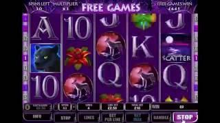 PANTHER MOON +FREE GAMES! +BIG WIN 1790! online free slot SLOTSCOCKTAIL hhs