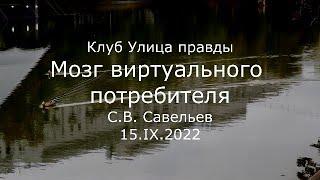 С.В. Савельев - Мозг виртуального потребителя