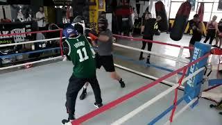 daniel daskalo easy sparring with raz