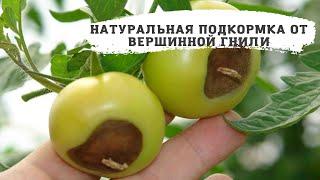 ВСЕГО ОДИН ПОЛИВ ТОМАТОВ И ВЕРШИННОЙ ГНИЛИ НА ПОМИДОРАХ НЕ БУДЕТ, натуральное удобрение