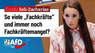 So viele „Fachkräfte“ und immer noch Fachkräftemangel? – Enxhi Seli-Zacharias (AfD)