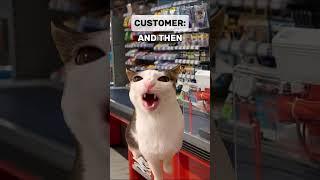 When Math Isn’t Mathing PT 2 | Cat Memes