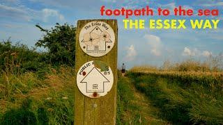 Walking The Essex Way from Manningtree to Harwich (4K)