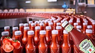 How Tomato  Ketchup is  Made In Factories|Heinz Ketchup Factory Tour