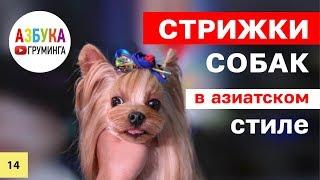 Стрижка собак в азиатском стиле. Техники груминга из Китая.