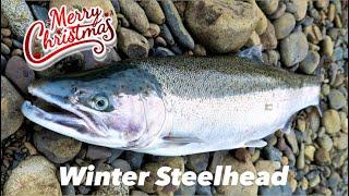 It’s a Tradition | Christmas Eve Winter Steelhead Fishing