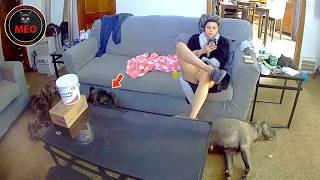 Incredible Moments Caught on Camera  (P150)