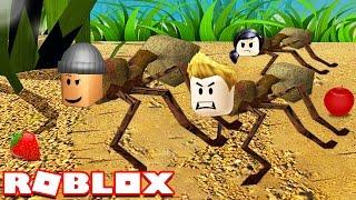 ANT SIMULATOR IN ROBLOX