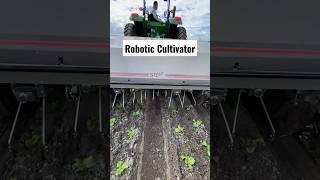 2 Acres Per Hour || Robotic Cultivator By Stout Industrial Technology Salinas CA || #shorts