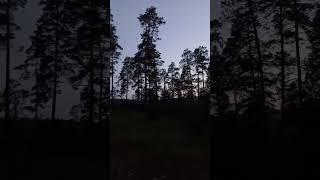 горы и леса урала, походы на природе