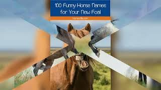 Funny horses and wild horses fighting/Когда лошади атакуют друг на друга