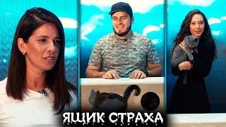 Ящик страха #8: Наглая кошка