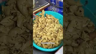 Secrets Behind Cold Pressed Mustard Oil! | Neerja Explainer