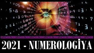 Öküz ilinin numerologiyası - 5 rəqəminin sirri