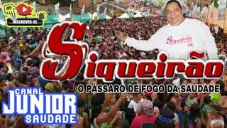 CD AO VIVO SIQUEIRÃO O PÁSSARO DE FOGO DA SAUDADE EM FERNANDES BELO DJ SIQUEIRA