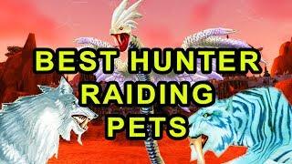 Classic WoW: Best Hunter Raiding Pets - Detailed Guide