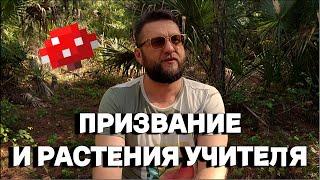 ПРИЗВАНИЕ И РАСТЕНИЯ УЧИТЕЛЯ | ГИПНО-КОУЧИНГ