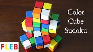 The Color Cube Sudoku Puzzle