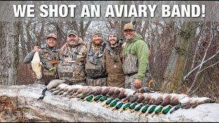 Secluded Wooded Pond Produces WILD Mixed Bag!! (Washington Duck Hunting)