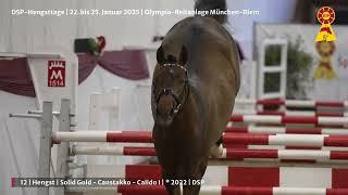 Lot 12 v. Solid Gold / Canstakko