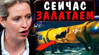 СМЕЛЫЙ ШАГ ВАЙДЕЛЬ! СЕВЕРНОМУ ПОТОКУ - БЫТЬ! ГЕРМАНИЯ ЛИКУЕТ