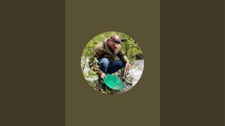 Stoney Creek Sparkchaser First Live! Gold Prospecting in WA! #shorts #prospecting #panning