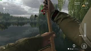 Fishing Planet #13 Угодья Випинг Виллоу. Уникальный Зеркальный Карп.Голый Карп. Сазан и Белый Амур.