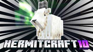 Will This Song End My Career? - EP32 - Hermitcraft Season 10
