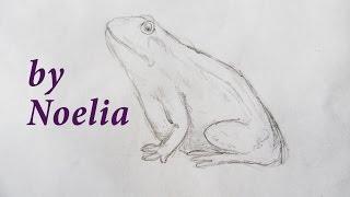 How to draw a frog/ как нарисовать лягушку